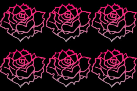 pink roses - labrano, gizzzi, roses, pink, rose