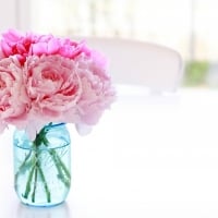 Pink Peonies