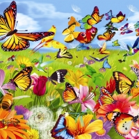 Butterflies