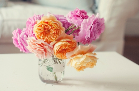 Roses - pink, orange, rose, vase, flower