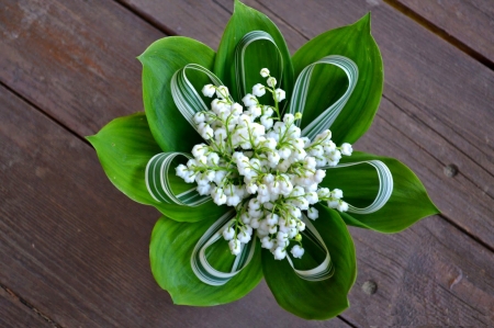 Lily of the Valley - blossoms, spring, bouquet, leaves