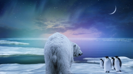 Hello, Ladies! - moon, winter, creative, fantasy, iarna, polar bear, luminos, luna, penguin