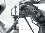 Salt and bones