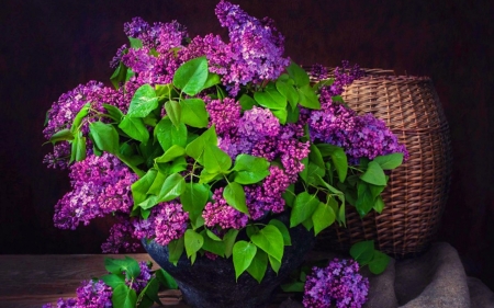 Lilacs - basket, green, lilac, spring, flower, pink