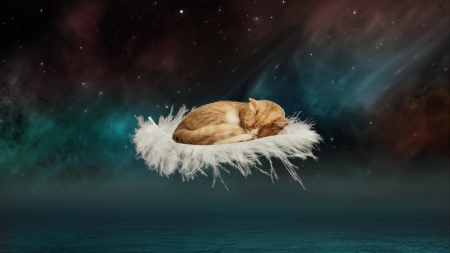 Sleeping cat - fantasy, pisica, sleep, creative, cat