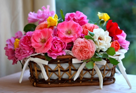 Flowers - trandafir, pink, summer, basket, rose, flower