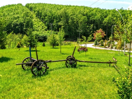 old wooden cart - cart, forest, road, beautiful