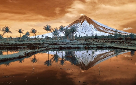 Mount Mayon,Philippines - sky, lake, trees, mount, mountains, palm, nature, reflection, snow