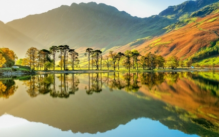 Buttermere Lake (Cumbria) - trees, nature, lake, mountains, reflection