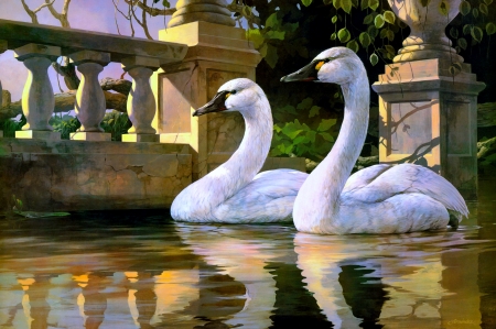 Of man and nature - art, swans, reflection, couple, beautiful, man, pond