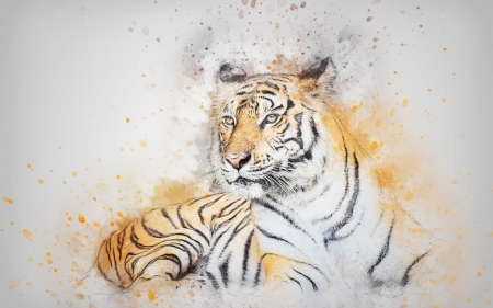 Tiger - tigru, animal, art, tiger