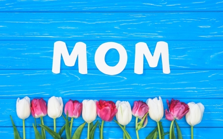 Happy Mother's Day! - day, tulips, mother, spring, wood, white, pink, blue, card