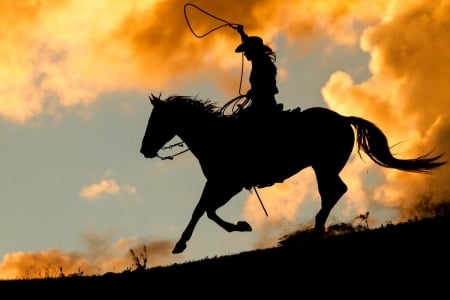 Cowgirl - hat, lasso, yellow, summer, silhouette, horse, cowgirl, black, fantasy, cloud