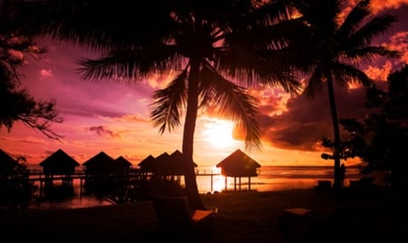 Beautiful sunset - nature, beach, palm trees, sunset