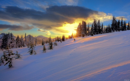 Winter Sunset - winter, nature, amazing, sunset