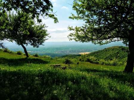 nature gives you a beautiful dream - green, mountains, sky, trees