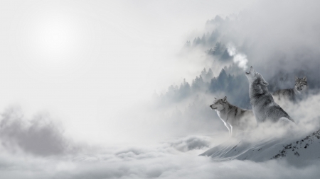 Wolves - white, wolf, cloud, animale, lup, winter, howling