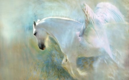 Pegasus - wings, white, horse, pegasus, fantasy, luminos, art