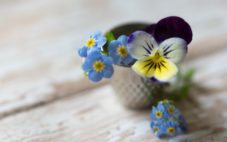 â™¥ - pansy, forgetmenot, vase, flower, little