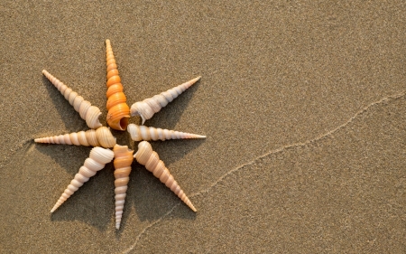 Shells - shell, summer, beach, card, sand, vara