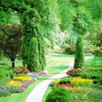 Beautiful  Spring Gardens