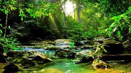 WATERFALLS - splendor, forest, nature, landscape