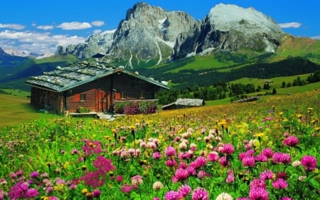 House and Wildflowers in the Mountains - nature, houses, landscape, mountains, wildflowers