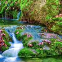 Waterfall Among the Mossy Stones