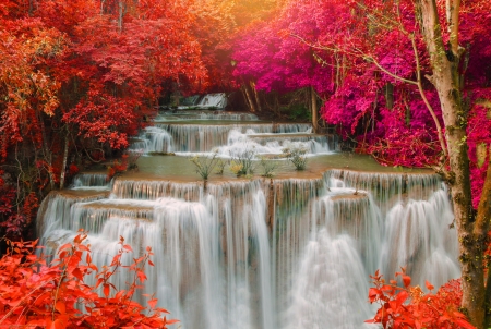 ♥ - water, nature, waterfall, flowing