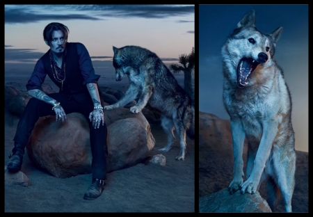 Johnny Depp - wolf, collage, man, blue, actor, rock, johnny depp