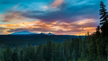 Beautiful Nature - nature, tree, sunset, clouds