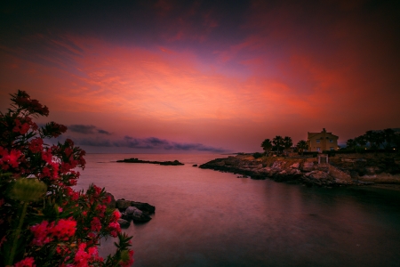 Colorful Sunset on the Coast - nature, sky, houses, trees, water, flowers, sunset, coast