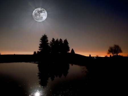 Full moon in the Evening Sky - moon, nature, sky, trees, reflection, night, water