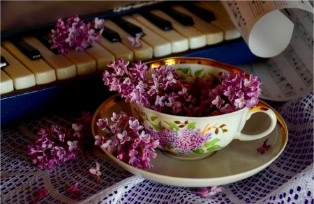 â™¥ - soft, flowers, still life, vase, cup