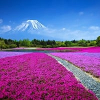 Mount Fuji Japan