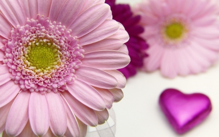 Happy Mother's Day! - gerbera, heart, day, mother, card, valentine, flower