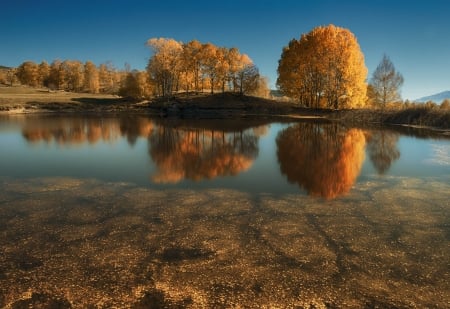 Trees Standing on the Shore - trees, shore, nature, autumn, cloudness, reflection, foliage, sky