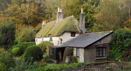 Cottage In England - cottage, trees, nature, england, grass