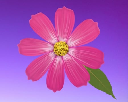 pink flower - purple, gizzzi, flower, pink