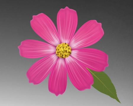 pink flower - gizzzi, grey, flower, pink