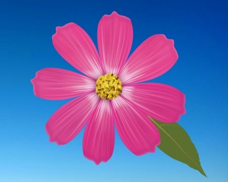 pink flower - sky, gizzzi, blue, pink, flower