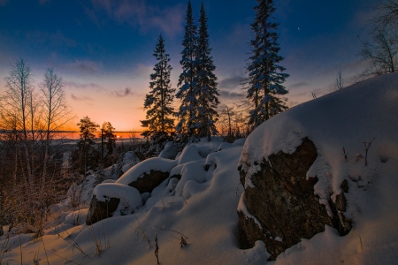 Winter sunset - snow, winter, nature, tree