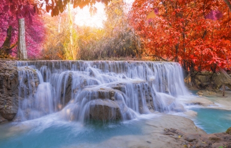 â™¥ - nature, flowing, trees, waterfall