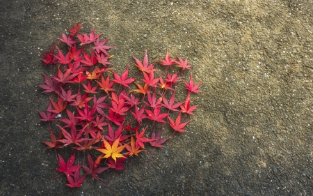 I love Autumn - autumn, red, heart, card, leaf