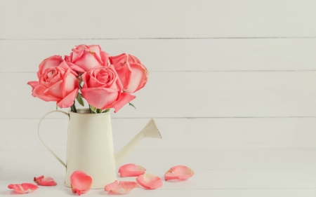 Roses - white, wood, pink, card, rose, flower