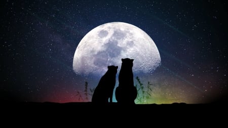 :) - moon, silhouette, vara, eli grek, couple, night, summer, black, creative, fantasy, panther, leopard, luminos, luna