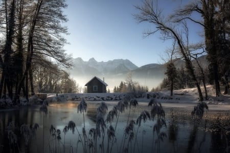 Winter - tress, winter, hut, nature