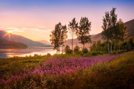 Morning on the Lake - nature, sky, lake, trees, sun, flowers, mountains