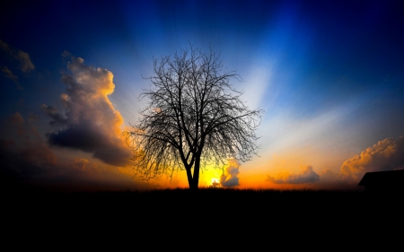 Wonderful Sunset - nature, tree, sunset, cloud