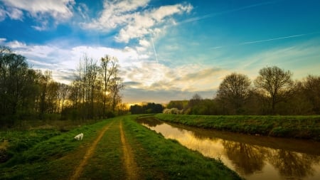 Country road - nature, wonderful, road, river